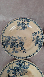 Lot de 5 assiettes plates anciennes Vieillard & Cie Bordeaux, décor Clématite