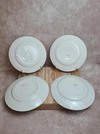 Lot 4 assiettes plates anciennes Badonviller Lunéville modèle Succao vert & brun