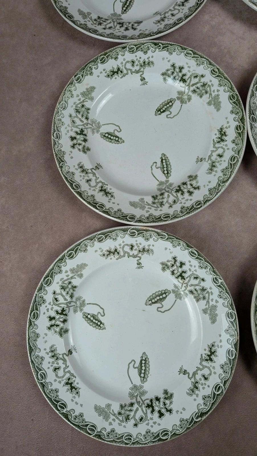 Lot 12 assiettes plates Terre de Fer Saint-amand modèle Modern Style 22 cm