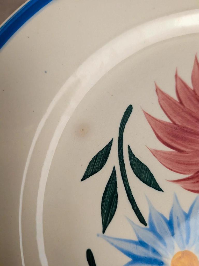 Lot de 6 assiettes en terre de fer Hbc – Modèle Rustique – Décor floral peint à la main