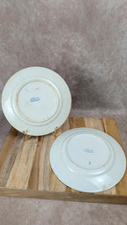 Lot de 2 assiettes plates Badonviller porcelaine opaque