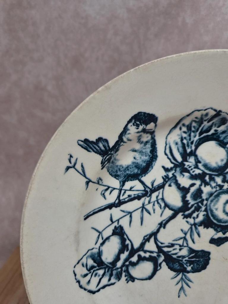 Assiette Terre de Fer Hb & Cie Choisy-le-roi – Oiseau & fruits – Xixe