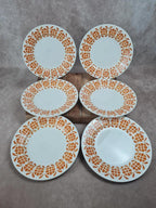 Lot de 6 assiettes semi-creuses Sarreguemines 🍊