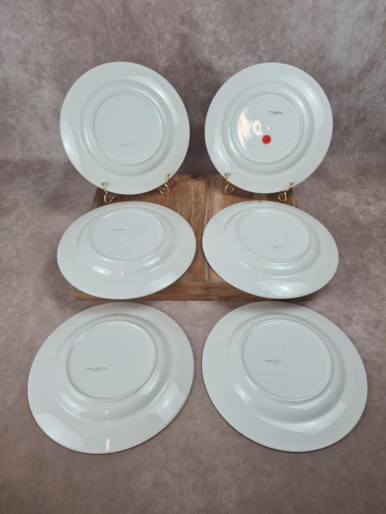 Lot de 6 assiettes semi-creuses Sarreguemines 🍊