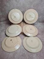 Lot de 6 assiettes plates Boch La Louvière Belgique modèle 2460 décor cerises polychrome
