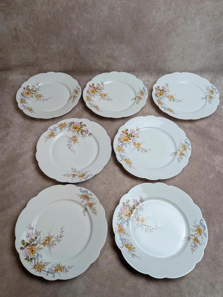 Lot de 7 assiettes plates vintage en porcelaine – Décor floral polychrome