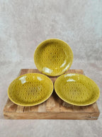 🍋 Lot de 3 assiettes creuses vintage Longchamp France