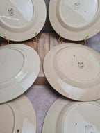 Lot de 6 assiettes plates Boch La Louvière Belgique modèle 2460 décor cerises polychrome