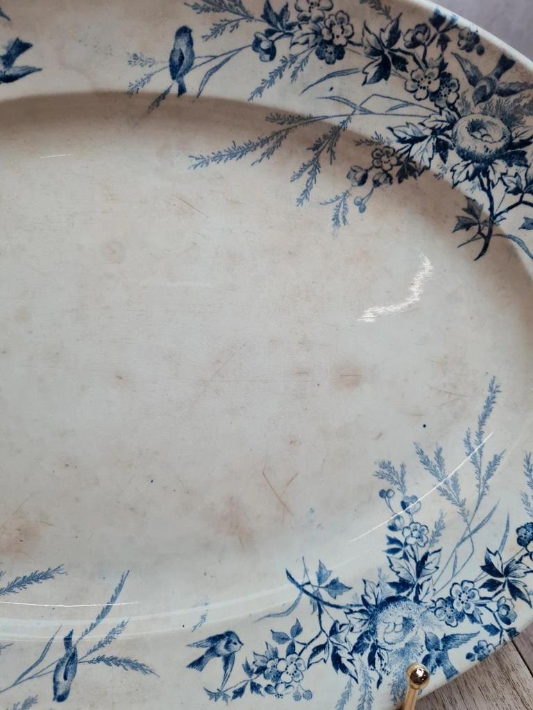 Grand plat ovale Terre de Fer Creil & Montereau Linotte bleu, décor oiseaux ancien