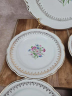 💐 Charmant service à gâteau Digoin & Sarreguemines, Modèle Lilitia, 6 assiettes + 1 grand plat