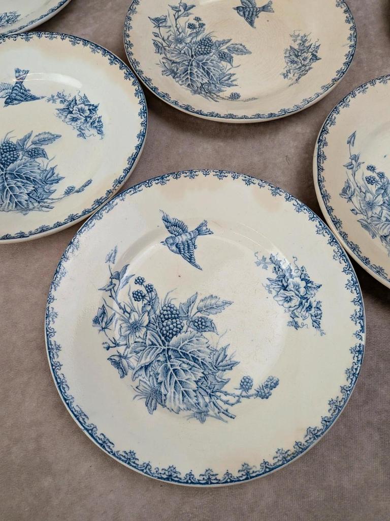 Lot de 8 assiettes Terre de Fer P.f Salvador – décor oiseaux & mûres