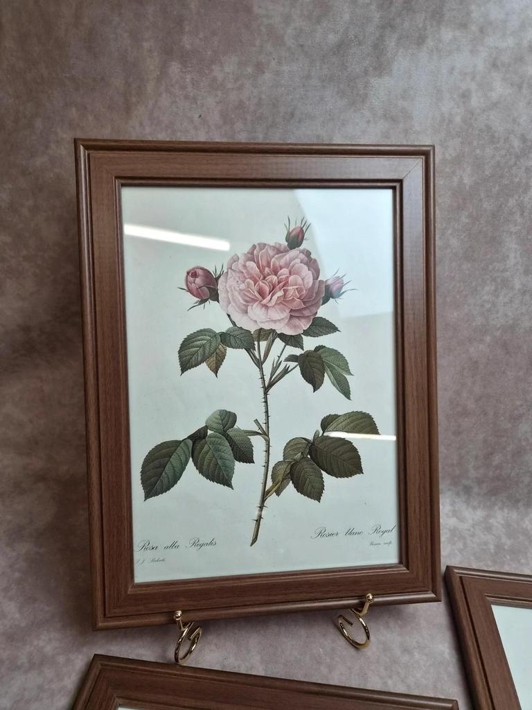 Lot de 3 cadres botaniques P.j. Redouté – Roses & tulipe