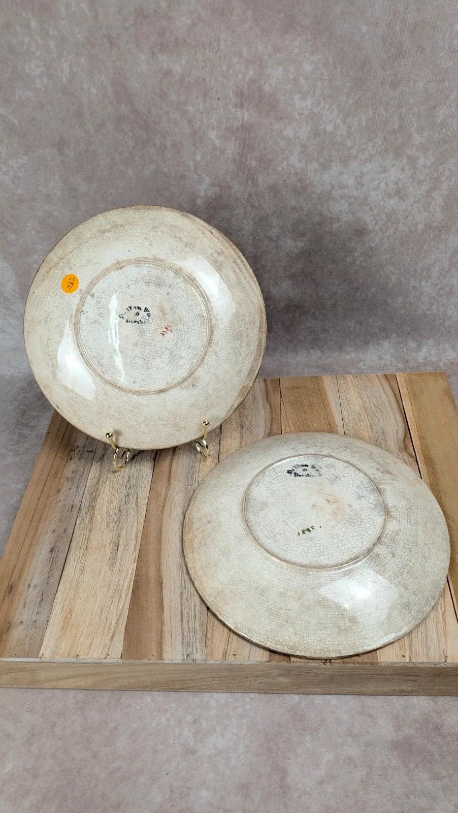 Lot de 2 assiettes anciennes Delton Ware motif oiseaux & fleurs