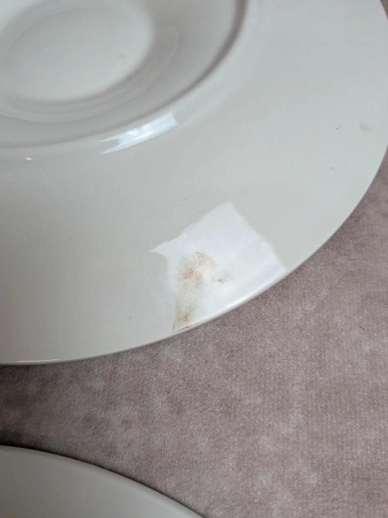 Service 12 assiettes + plat à huîtres Longchamp barbotine coquille