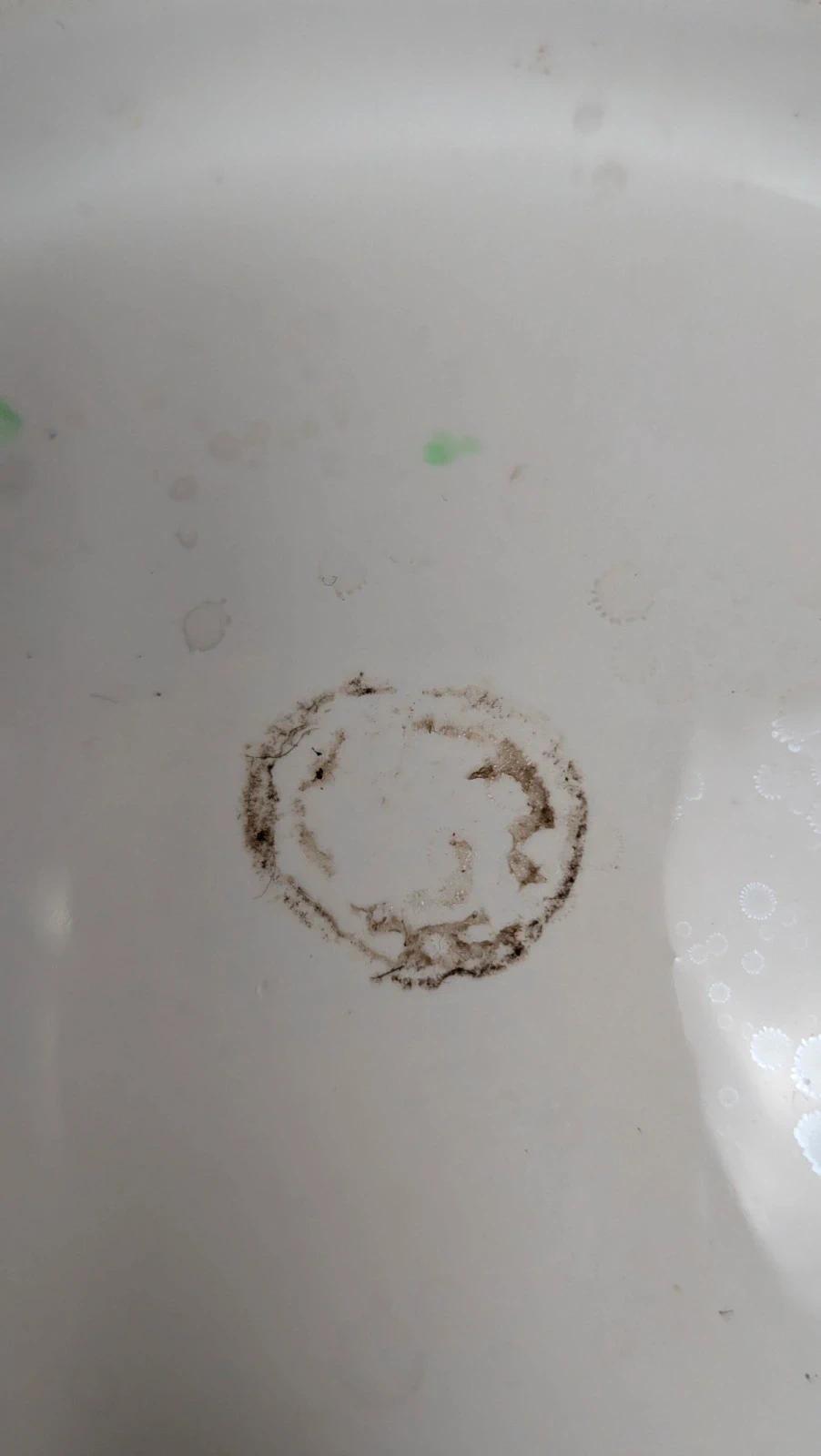 Grand plat ancien en forme de coquillage – finition irisée