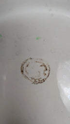 Grand plat ancien en forme de coquillage – finition irisée