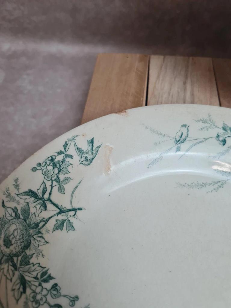 Assiettes Terre de Fer Creil & Montereau Linotte oiseaux vert – lot de 3 anciennes
