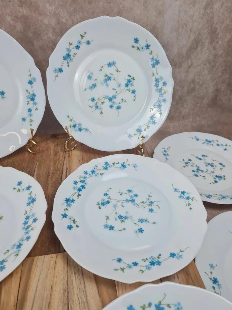 Lot de 10 assiettes vintage Arcopal – Modèle Myosotis