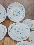 Lot de 10 assiettes vintage Arcopal – Modèle Myosotis