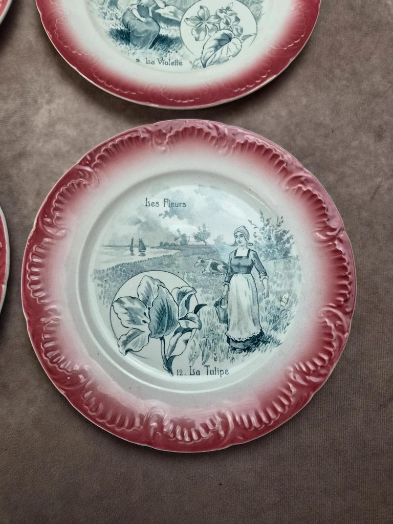 Série complète 12 assiettes parlantes Digoin Sarreguemines, terre de fer, Les Fleurs vintage