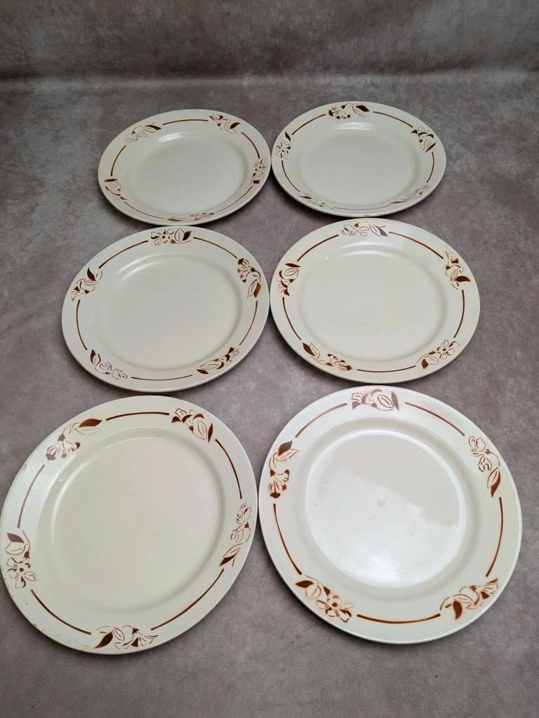 Lot de 6 assiettes terre de fer Hbcm Narcisse décor floral marron
