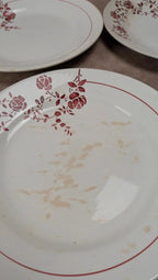 Lot de 14 assiettes plates Saint-amand modèle Marcel