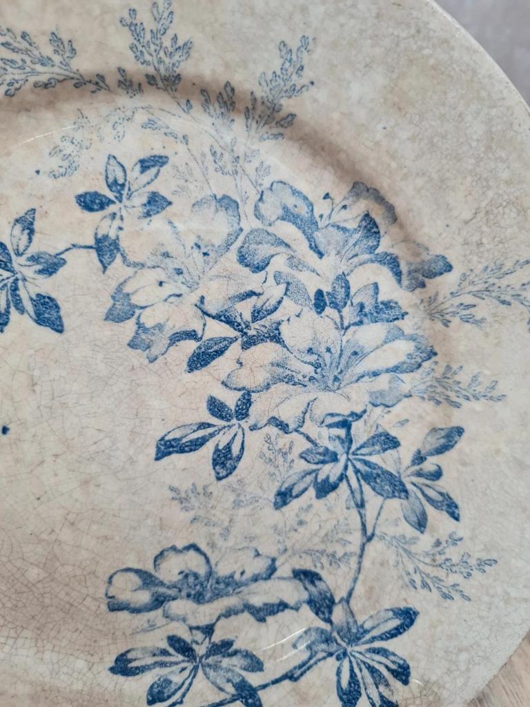 Assiette ancienne terre de fer décor floral bleu romantique pivoine fleurs Xixe