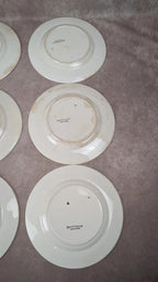 Lot de 6 assiettes plates vintage Saintonge – demi-porcelaine