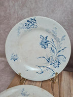 Lot 4 assiettes à dessert anciennes Terre de Fer décor œillet bleu 💙