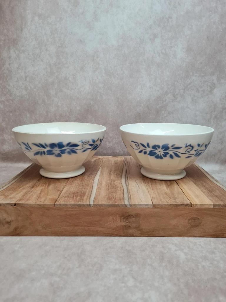 Paire de bols anciens Terre de fer décor floral bleu 💙