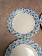 Lot de 5 assiettes à dessert Luminarc – décor floral bleu