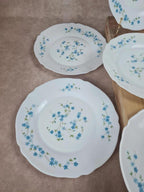 Lot de 10 assiettes vintage Arcopal – Modèle Myosotis