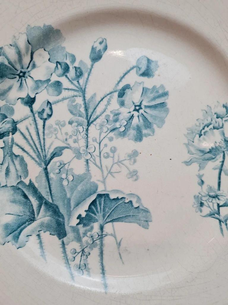 Assiette ancienne Terre de Fer Hb & Cie – modèle Provençal – décor floral vert – 27 cm 🍃