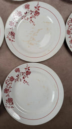 Lot de 14 assiettes plates Saint-amand modèle Marcel