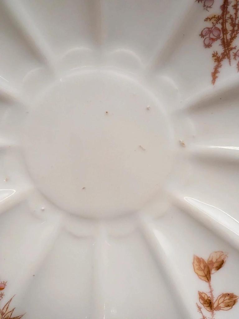 Plat ancien en porcelaine J.p.l France