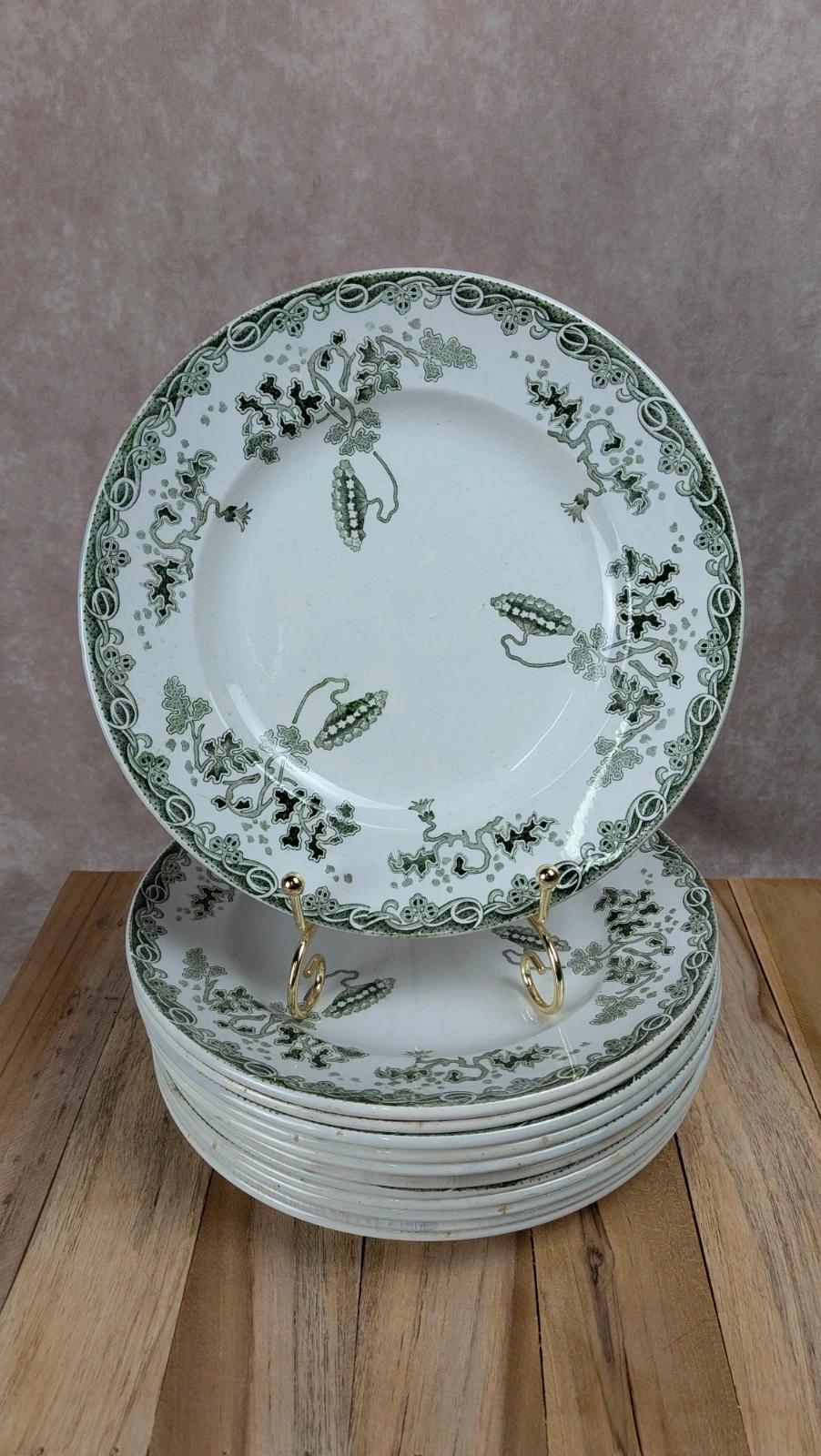 Lot 12 assiettes plates Terre de Fer Saint-amand modèle Modern Style 22 cm