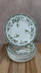 Lot 12 assiettes plates Terre de Fer Saint-amand modèle Modern Style 22 cm
