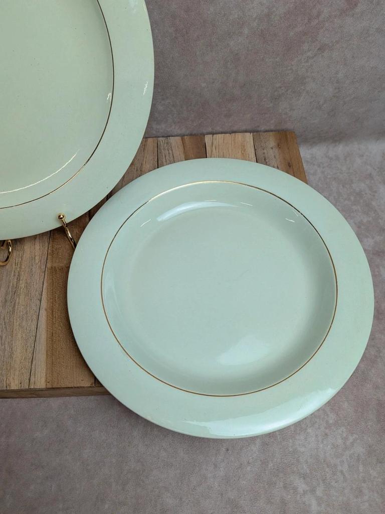 Lot de 2 plats ronds Opaceline Salins liseré doré vintage
