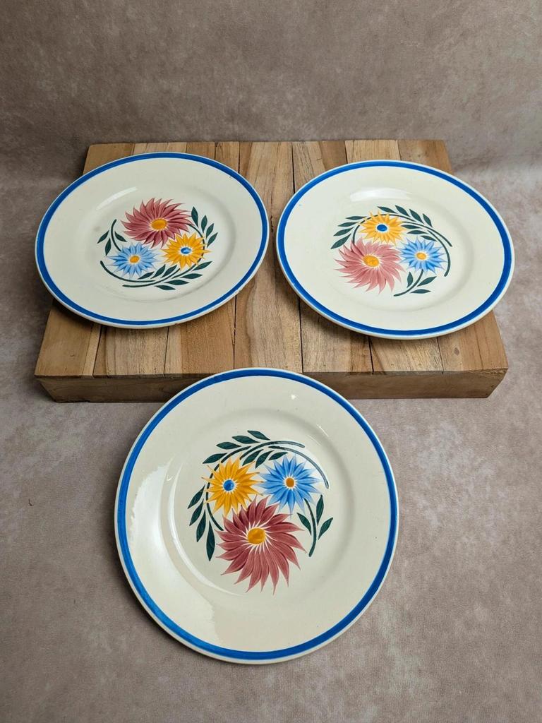 Lot de 6 assiettes en terre de fer Hbc – Modèle Rustique – Décor floral peint à la main