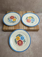 Lot de 6 assiettes en terre de fer Hbc – Modèle Rustique – Décor floral peint à la main