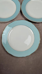 Lot de 5 assiettes plates anciennes Seranord Saint-amand – Modèle Chambord