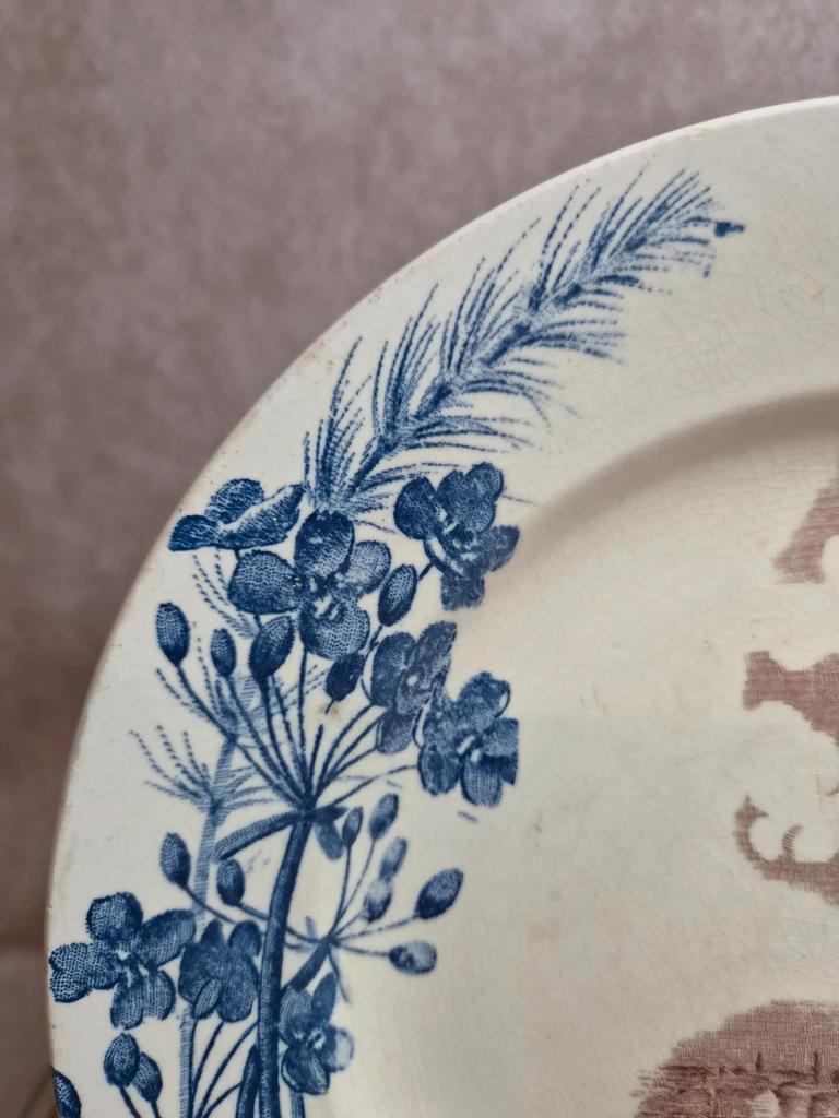 Assiette ancienne Terre de Fer Clairefontaine modèle Marine
