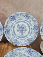 Lot de 6 assiettes plates Arcopal Honorine 💙