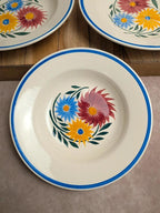 Lot de 6 assiettes en terre de fer Hbc – Modèle Rustique – Décor floral peint à la main