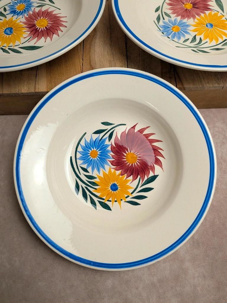 Lot de 6 assiettes en terre de fer Hbc – Modèle Rustique – Décor floral peint à la main