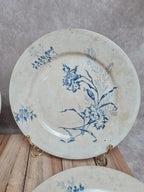 Lot 4 assiettes à dessert anciennes Terre de Fer décor œillet bleu 💙