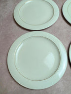 Lot de 6 assiettes plates Opaceline Salins vintage