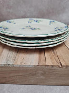 Lot de 4 assiettes à dessert anciennes terre de fer décor floral bleu et vert 🌿
