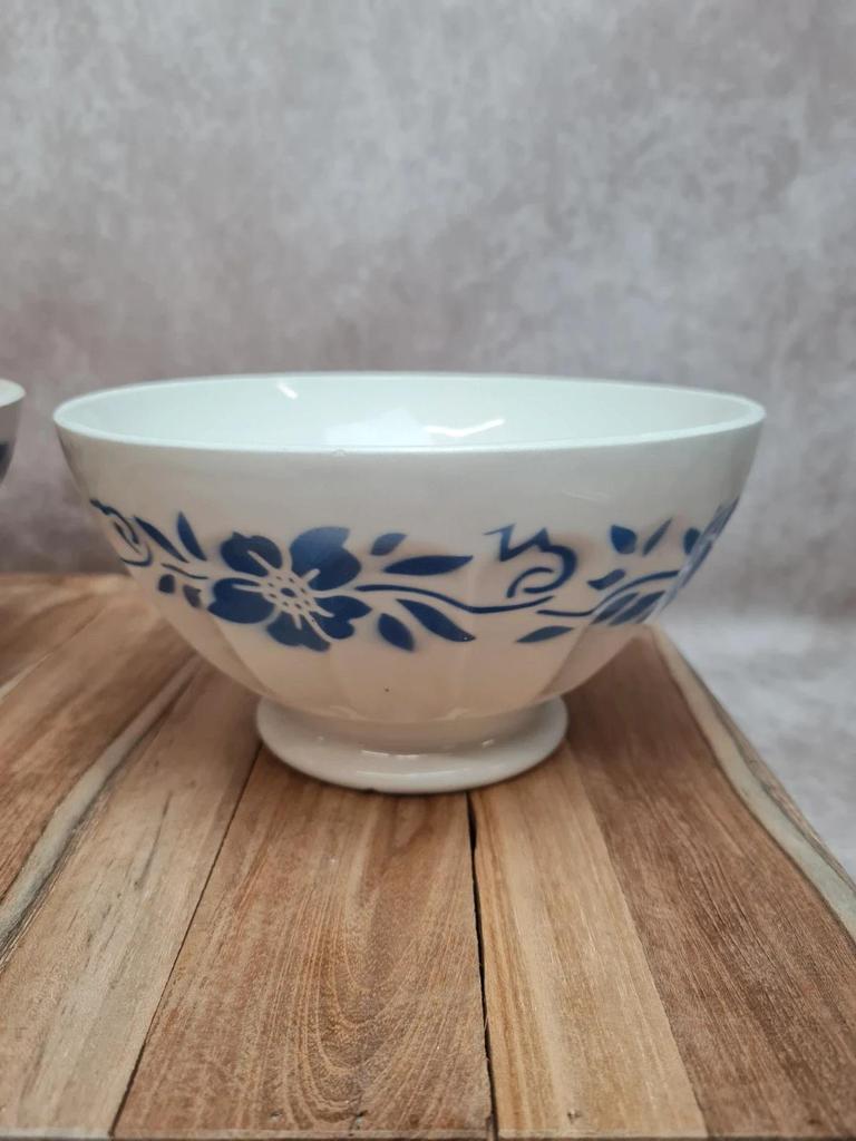 Paire de bols anciens Terre de fer décor floral bleu 💙