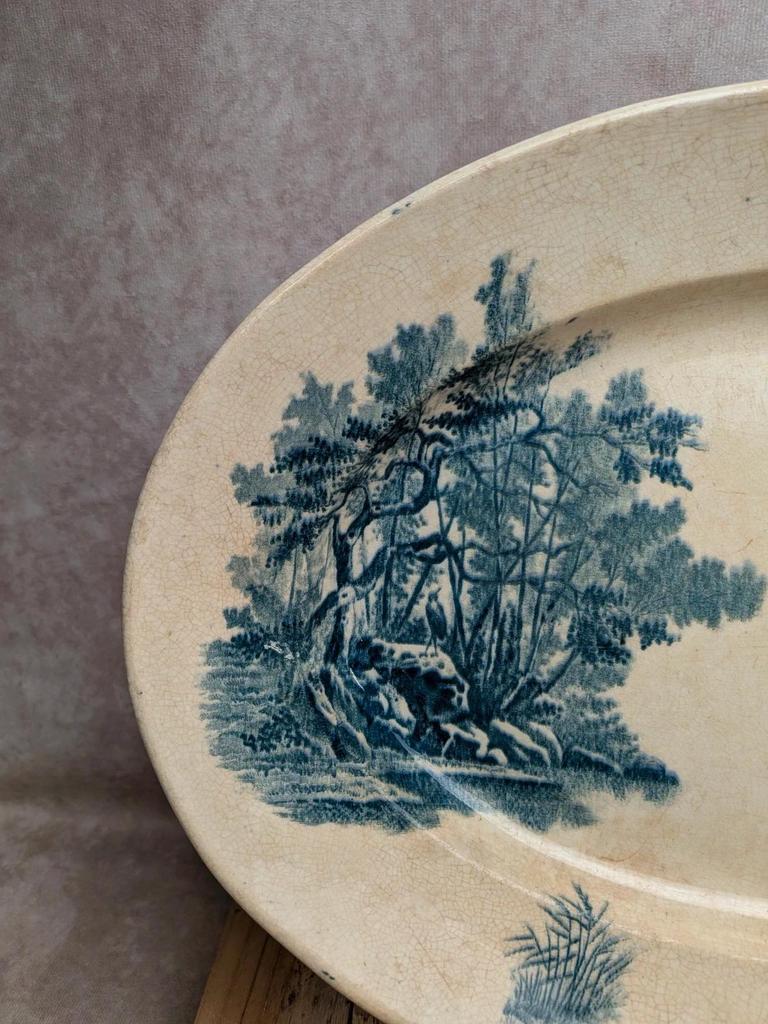 Grand plat ovale Terre de Fer Jules Vieillard Bordeaux modèle aquatique